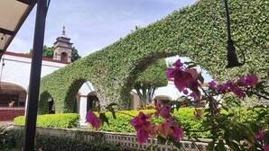 Um jardim com uma pérgola coberta de vegetação, um edifício branco com um campanário e flores roxas em primeiro plano.