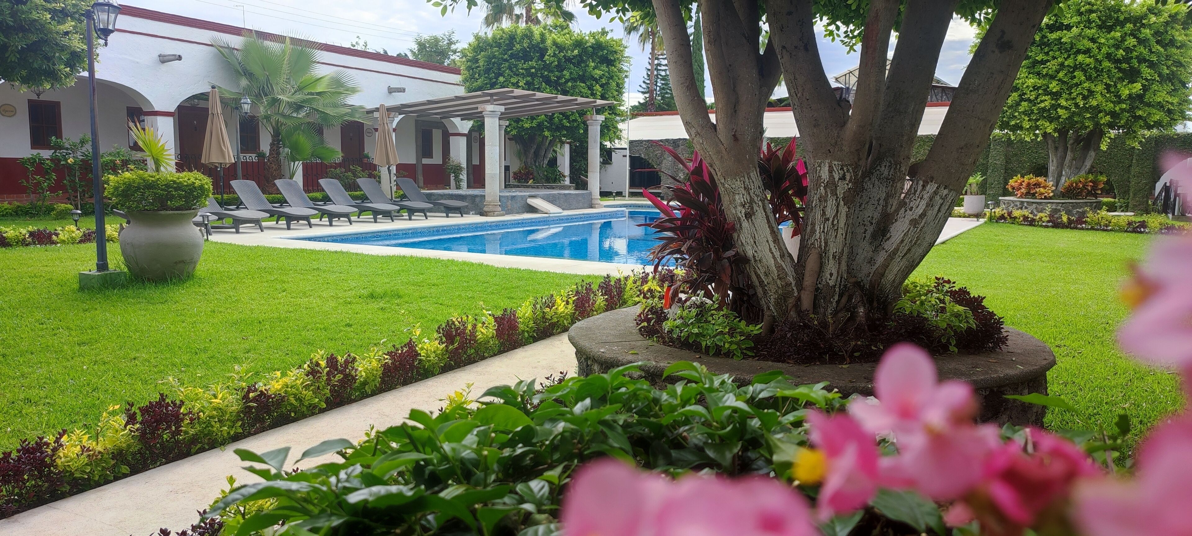 Un área de piscina con tumbonas, una pérgola y un jardín cuidado con diversas plantas y flores.