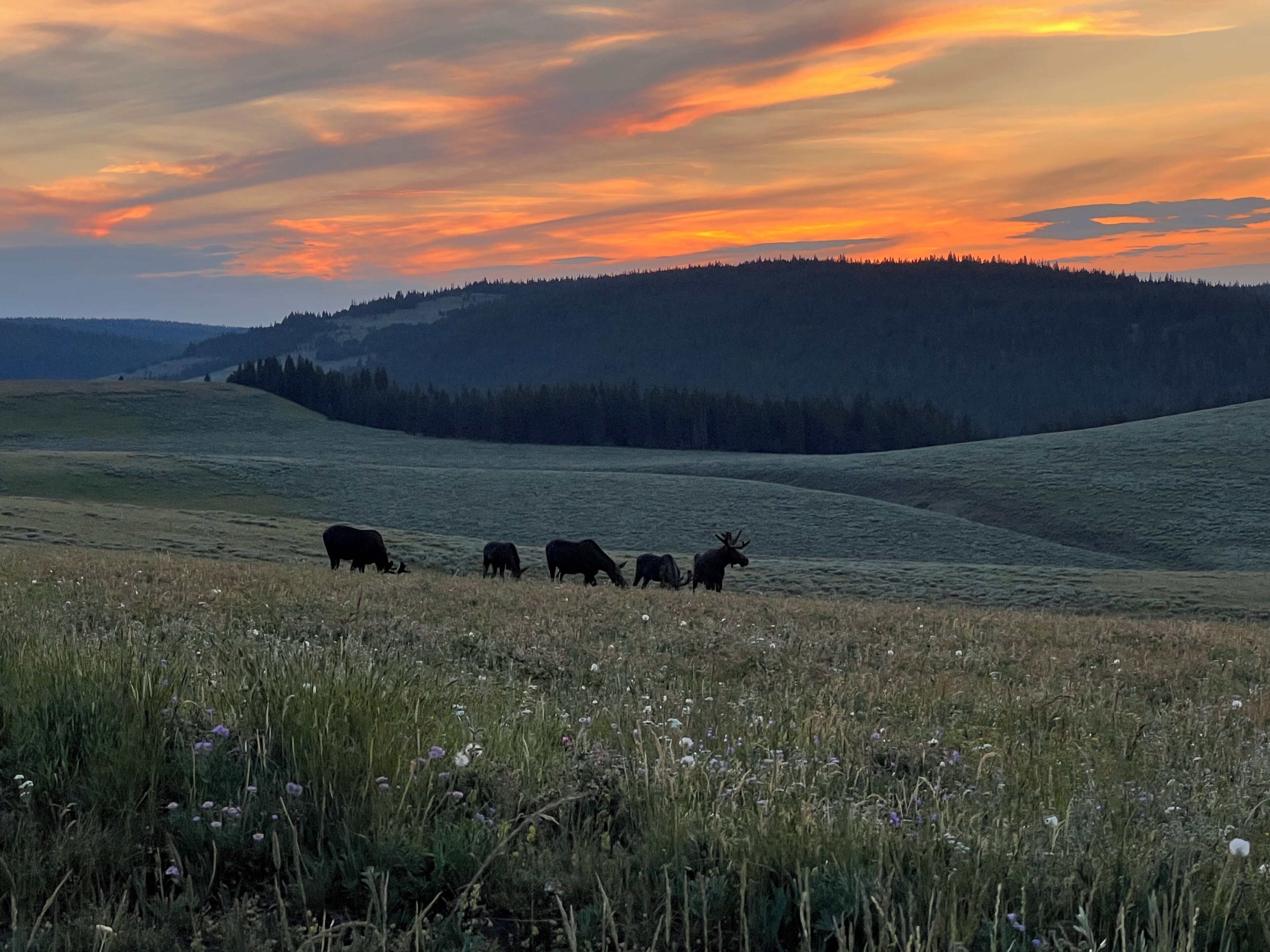Vista desde la propiedad