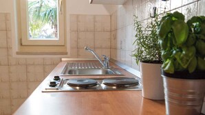 Une cuisine dotée d’un évier en acier inoxydable, d’une fenêtre donnant sur un espace verdoyant et d’une plante en pot posée sur le plan de travail.