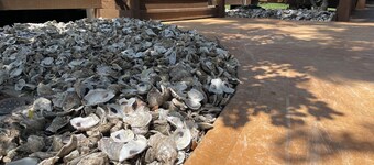 Enjoy Crawfordville at the Courtyard’s Oyster Cottage