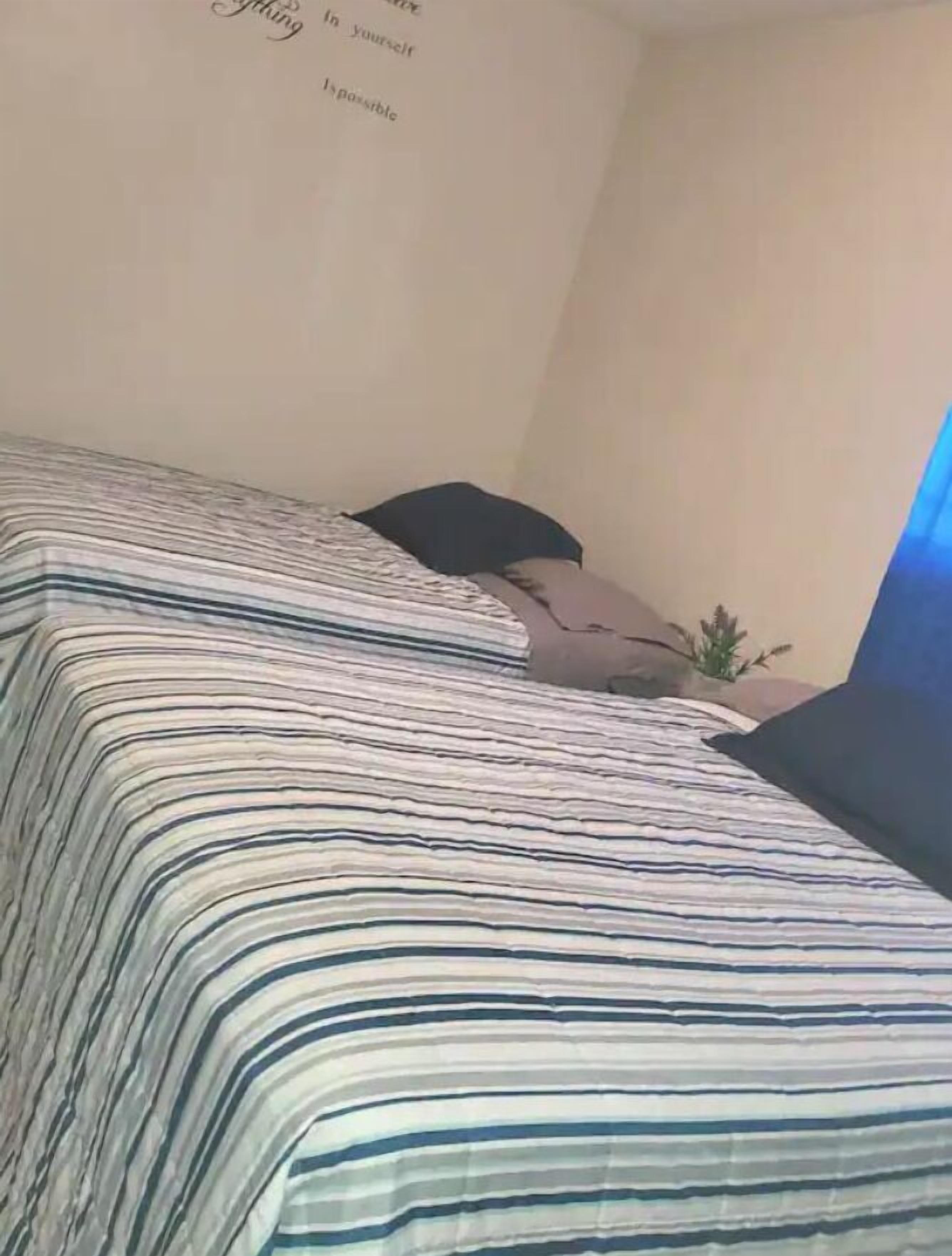 Una cama con una colcha a rayas, una planta pequeña en maceta y una pared con citas motivacionales.