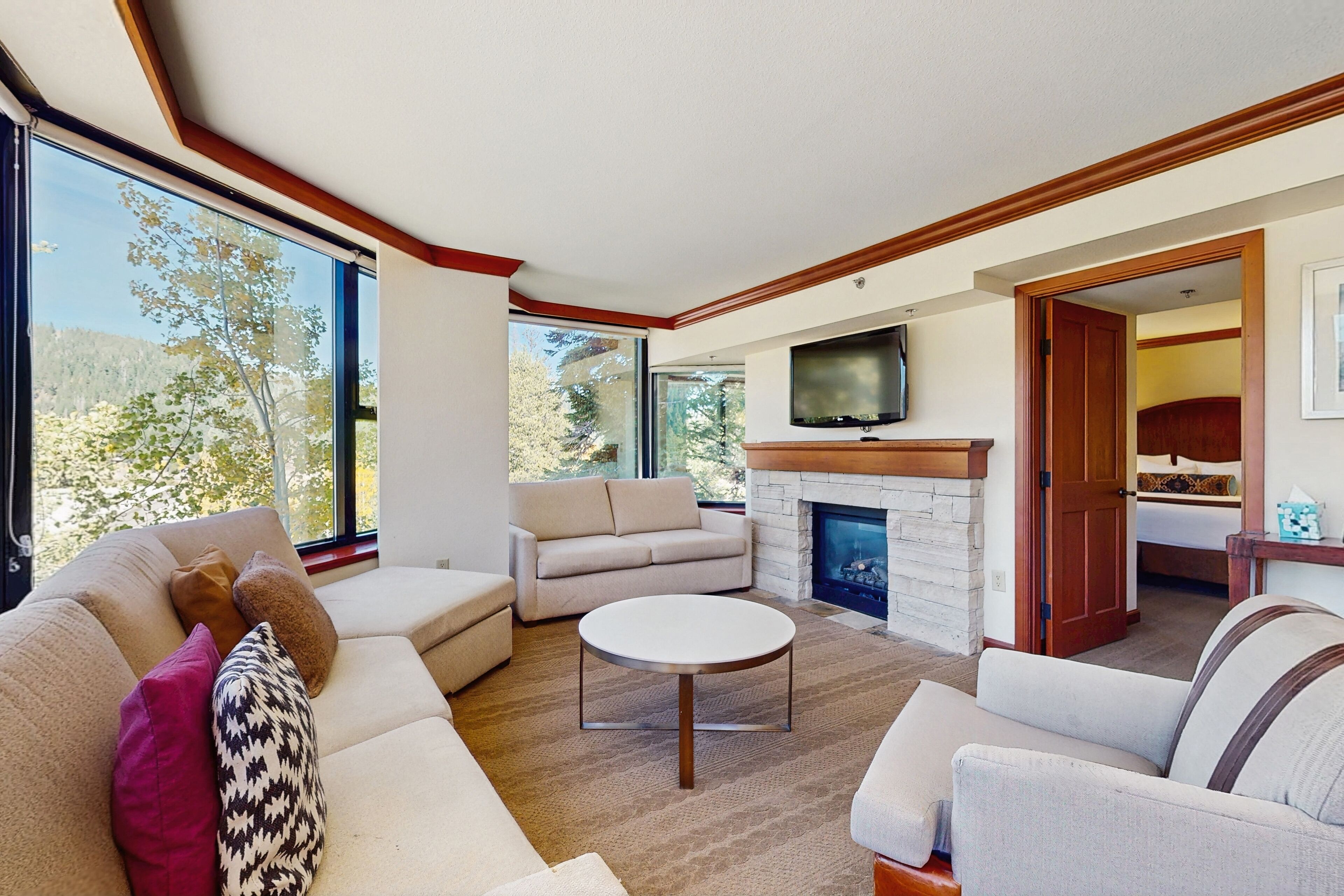 Télévision, cheminée, chaîne hi-fi