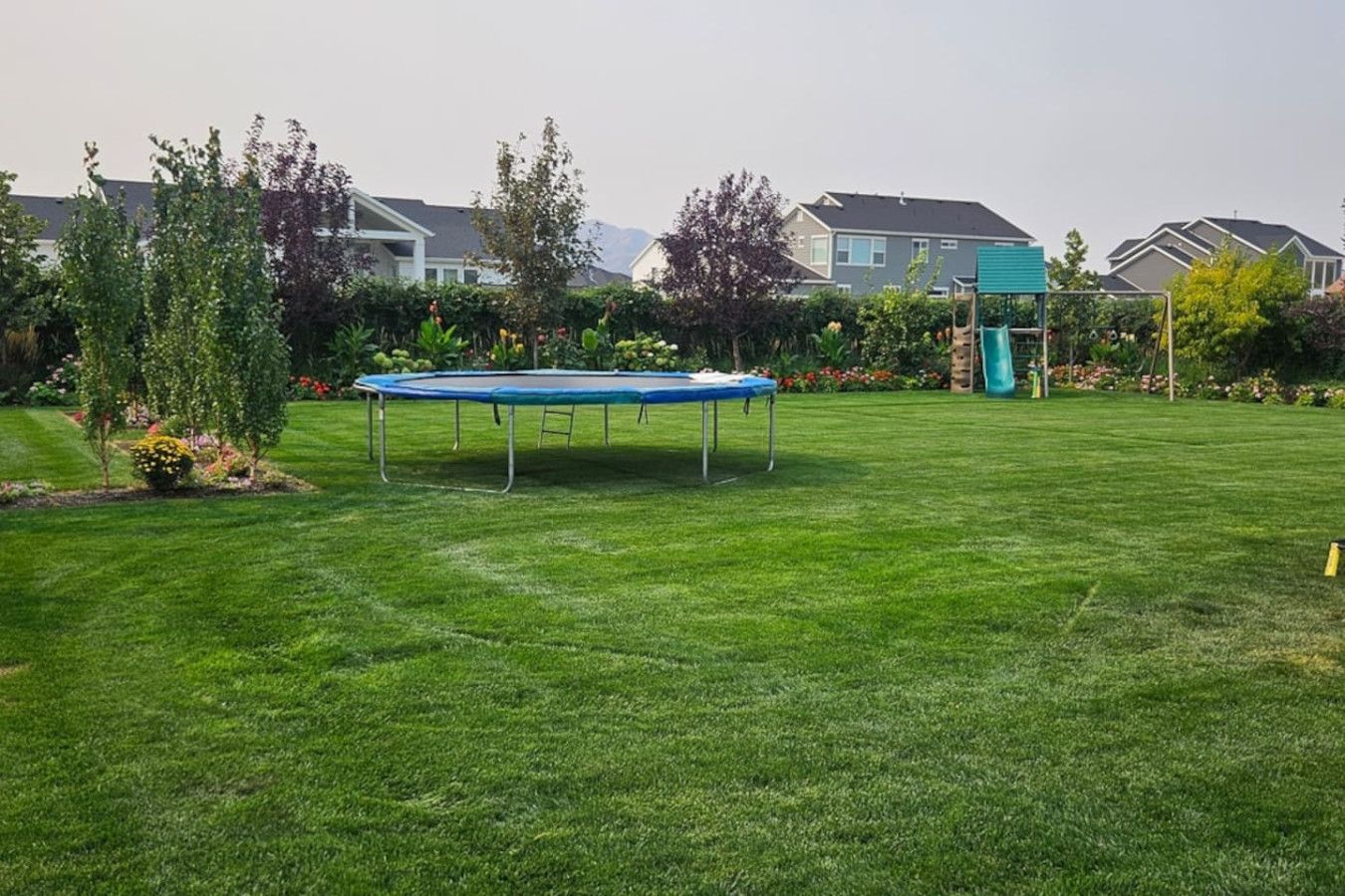 Ein Garten mit Trampolin, einem kleinen Baum und einem gepflegten Rasen.