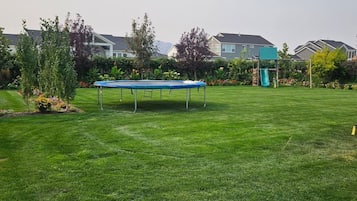 A backyard with a trampoline, a small tree, and a well-maintained lawn.
