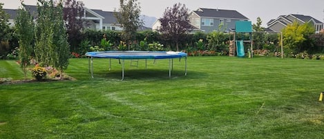 Un jardin avec un trampoline, un petit arbre et une pelouse bien entretenue.
