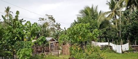 Área da propriedade