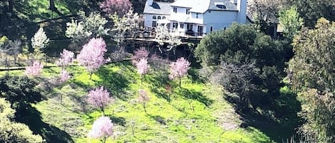 Aussenbereich