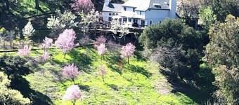 Morgan Hill Private Estate