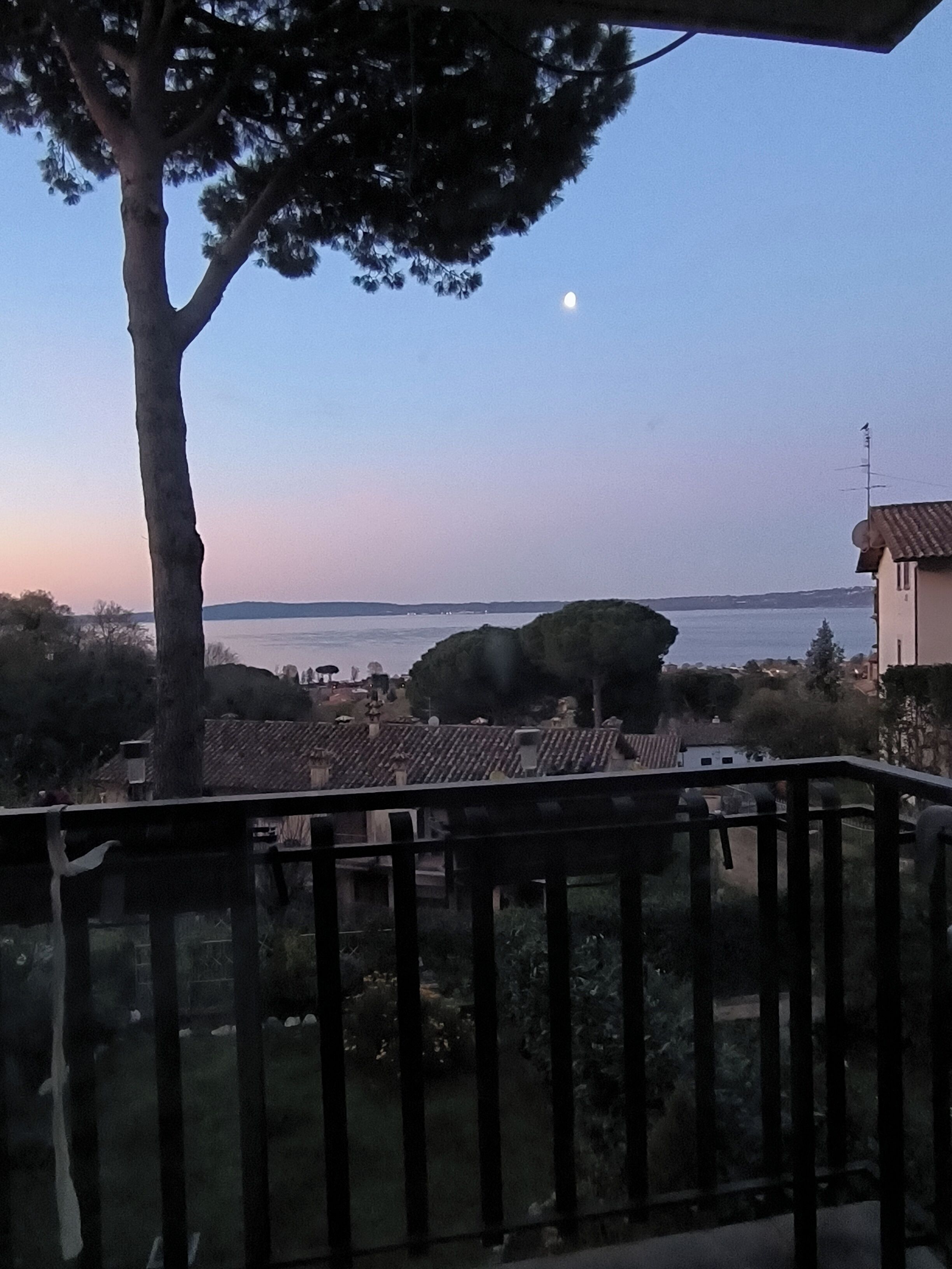 A balcony with a view of a tree, a building, and a body of water.