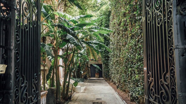 Front of property - Maison du comte (Mexico City)