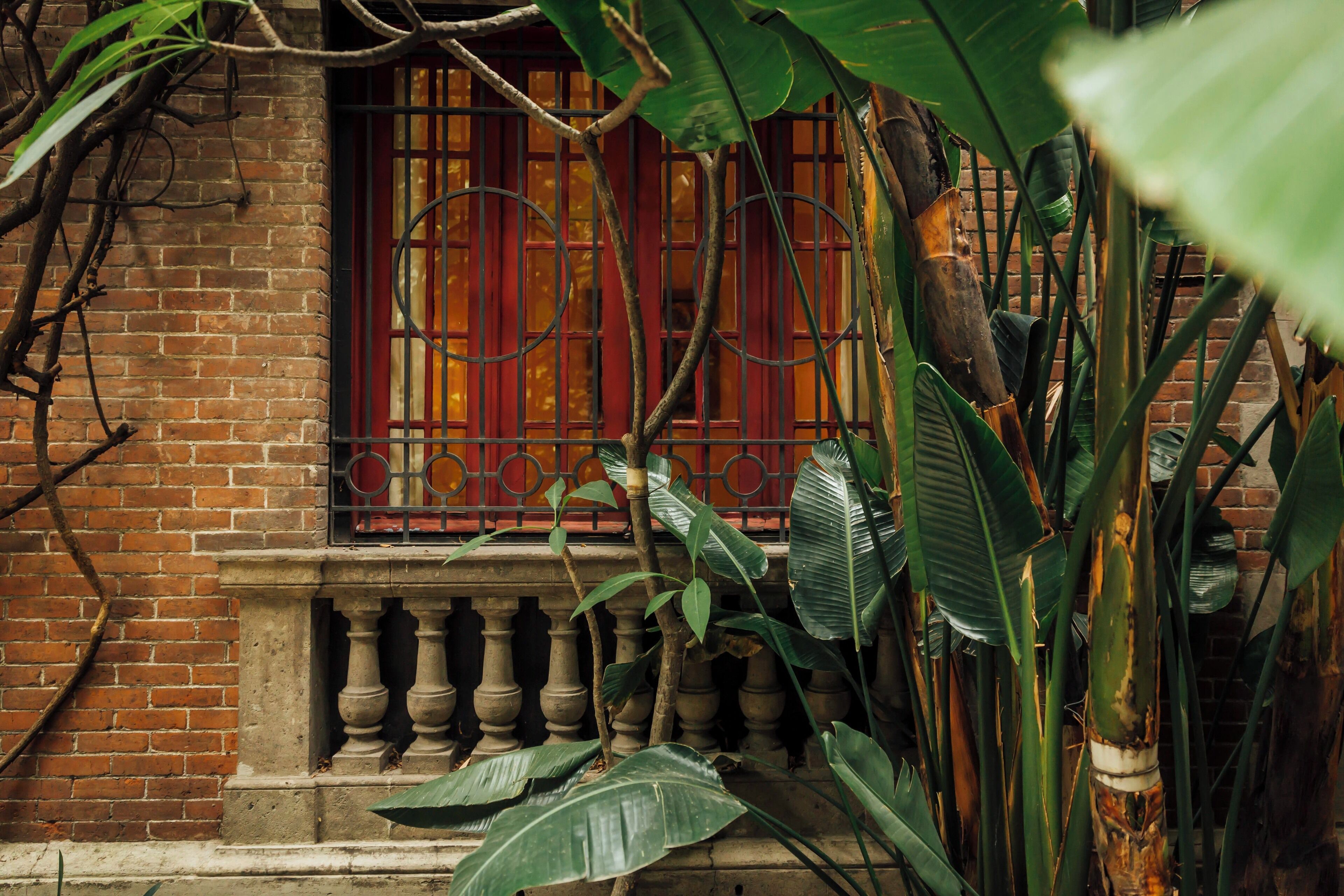 Foto - Maison du comte