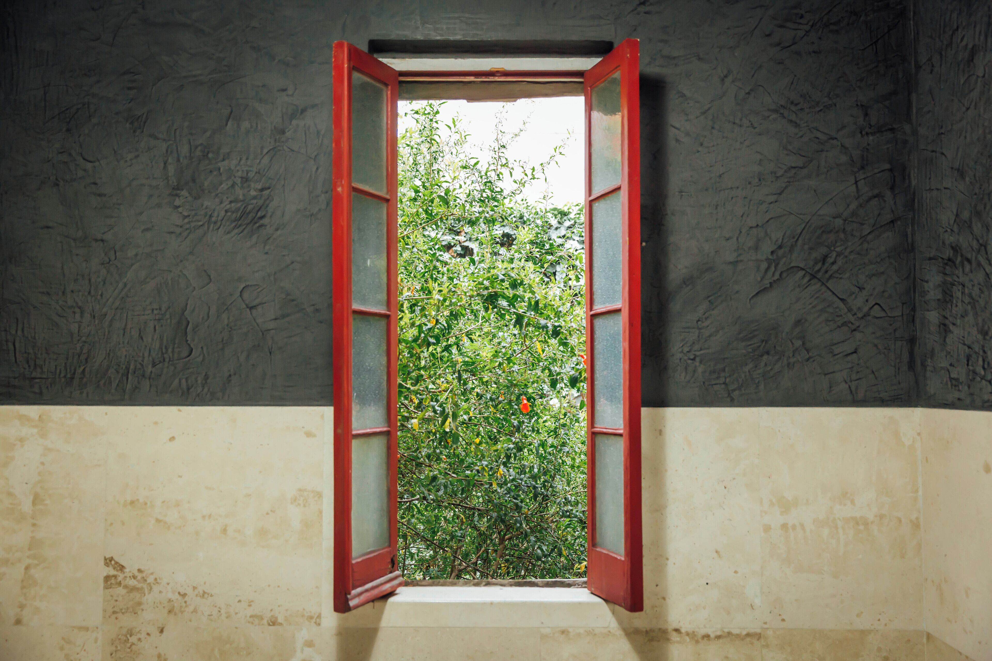 Foto - Maison du comte