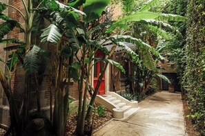 Front of property - Maison du comte (Mexico City)