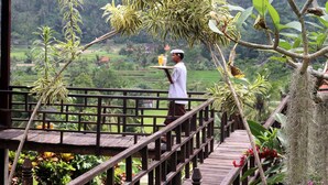 Una terraza de madera con una persona llevando una bandeja de bebidas, rodeada de exuberante vegetación y vistas a un paisaje montañoso.