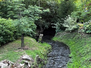 Terrain de l’hébergement 