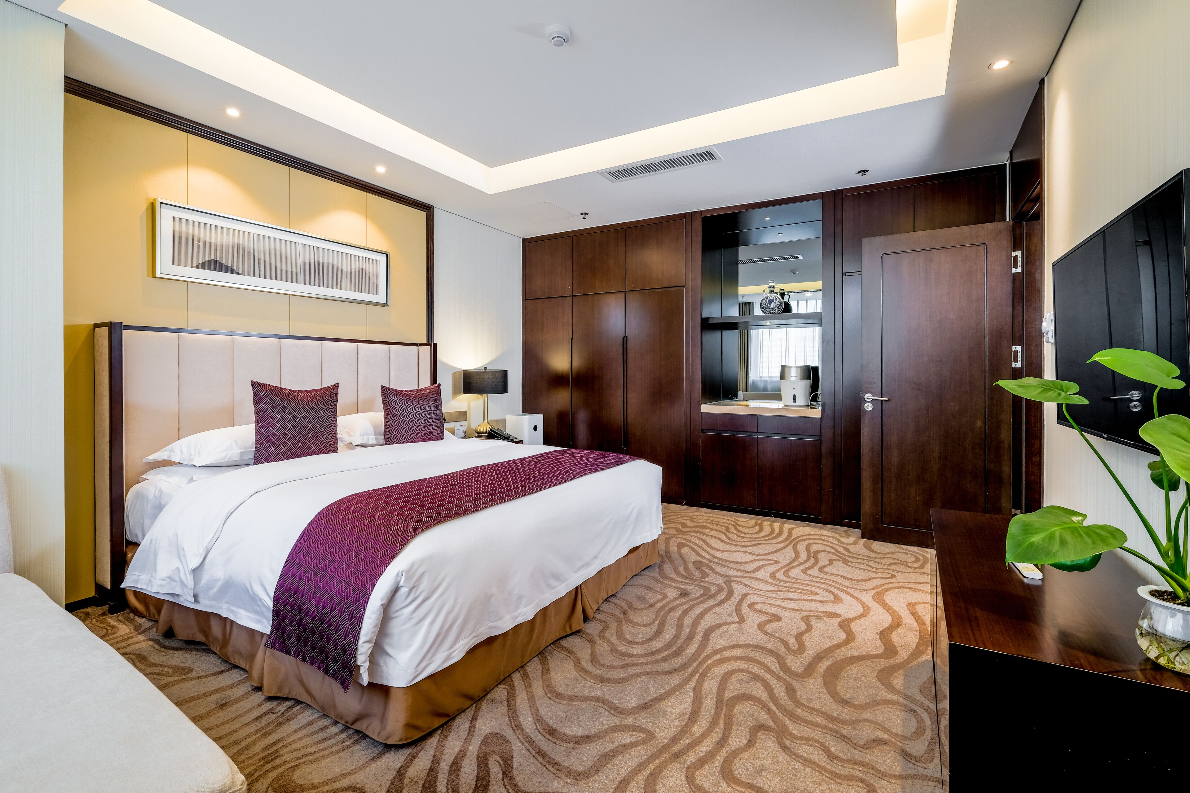 A hotel room with a large bed, a TV, a wardrobe, and a plant.