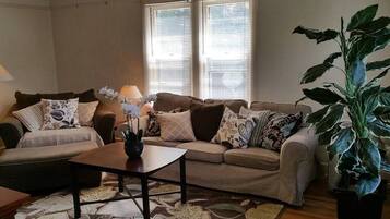 Televisión, chimenea, reproductor de DVD y estéreo