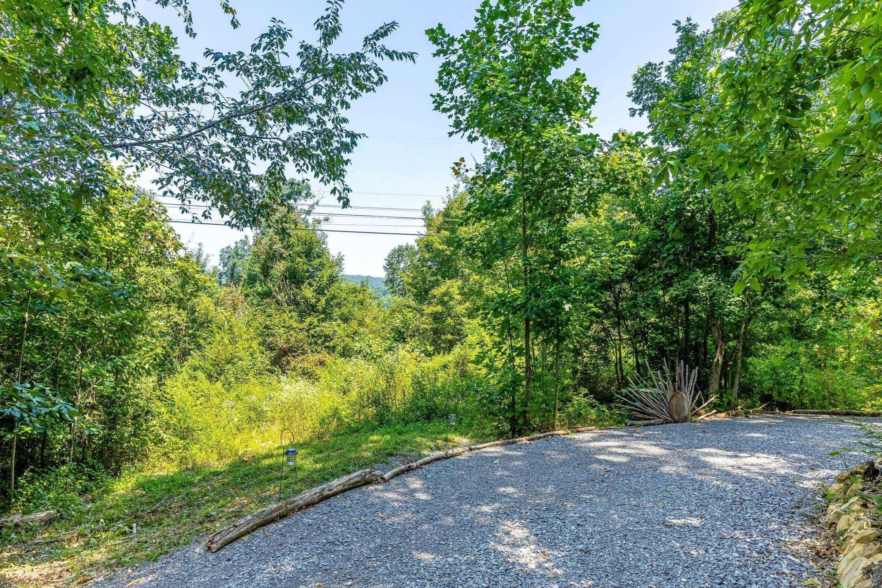 A gravel road winding through a forested area with trees and greenery on both sides.