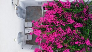Property grounds - Modern Traditional Cave Villa, Close to Fira, Port and Airport! (Santorini)