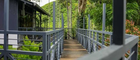 A wooden bridge with metal railings leading to a building surrounded by lush greenery and palm trees.