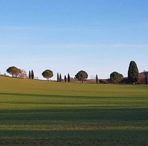 Miscellaneous - Large room in historic village center with panoramic view (Lézat-sur-Lèze)