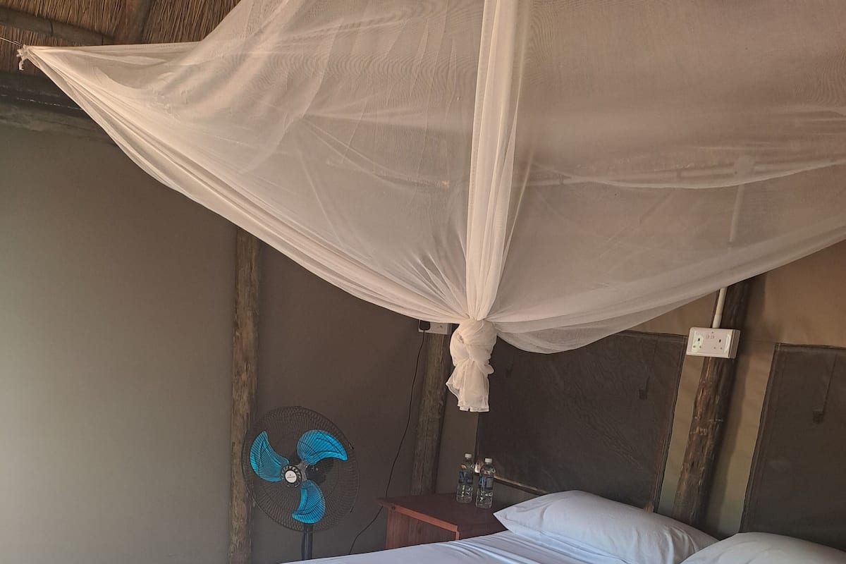 Tenda Luxury, vista cortile | 1 camera, ferro/asse da stiro, Wi-Fi gratuito, lenzuola