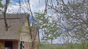A rustic house with a brick exterior, a wooden deck, and a staircase leading to a window. -  iroCK Lodge (Victoria Falls)
