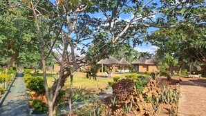 A garden with a paved walkway, a rock garden, and thatched-roof structures. -  iroCK Lodge (Victoria Falls)