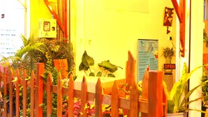 A wooden fence with plants, a sign with a menu, and a wall with a power box. - Royal Hub (Negombo)