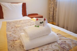 Basic Double or Twin Room | Free WiFi - Łódź (Lodz)