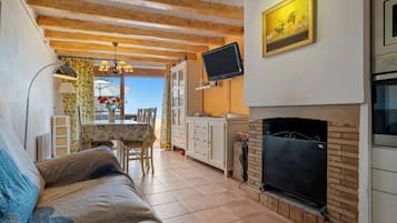 TV, fireplace