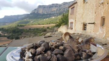 A plate of mushrooms in front of a rustic building with a mountainous backdrop.