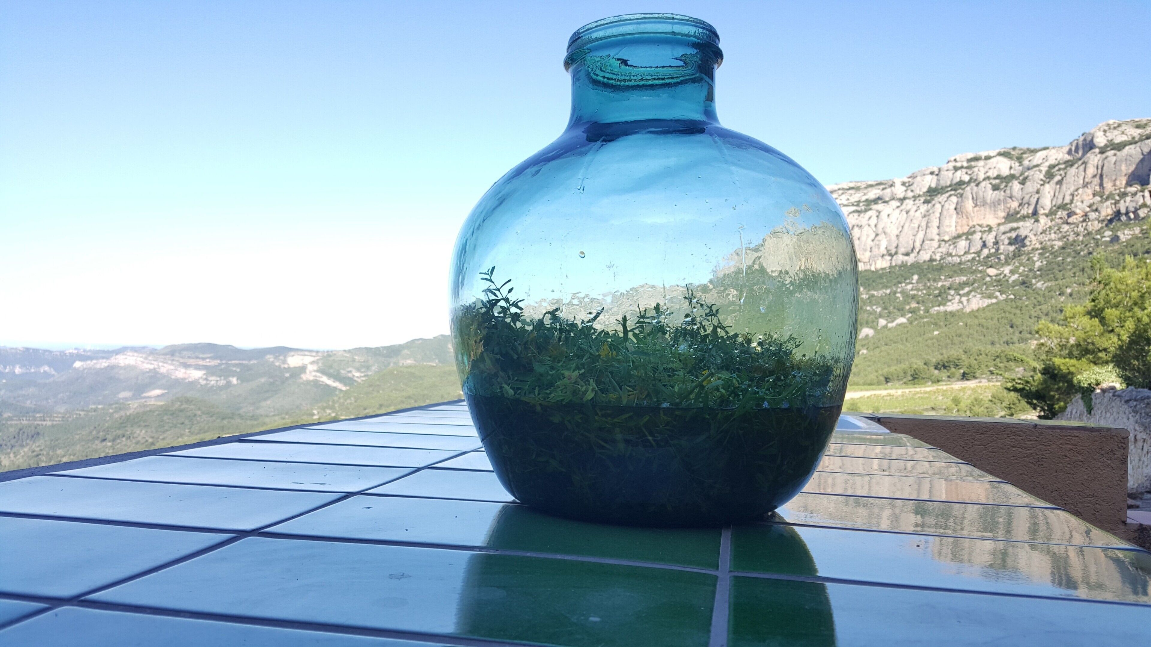 Una botella de vidrio azul transparente con cuello estrecho, llena de plantas verdes, sobre una superficie de baldosas, con un paisaje montañoso al fondo.
