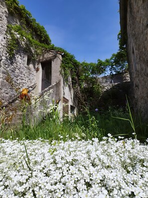 Um edifício de pedra com uma entrada estreita, rodeado por vegetação e flores brancas.