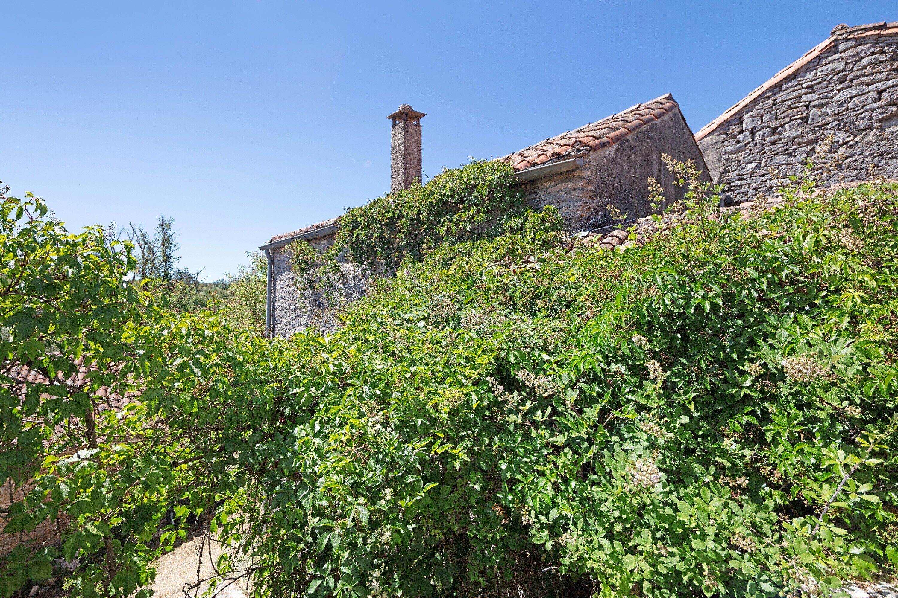 A stone building with a tiled roof, surrounded by lush greenery.
