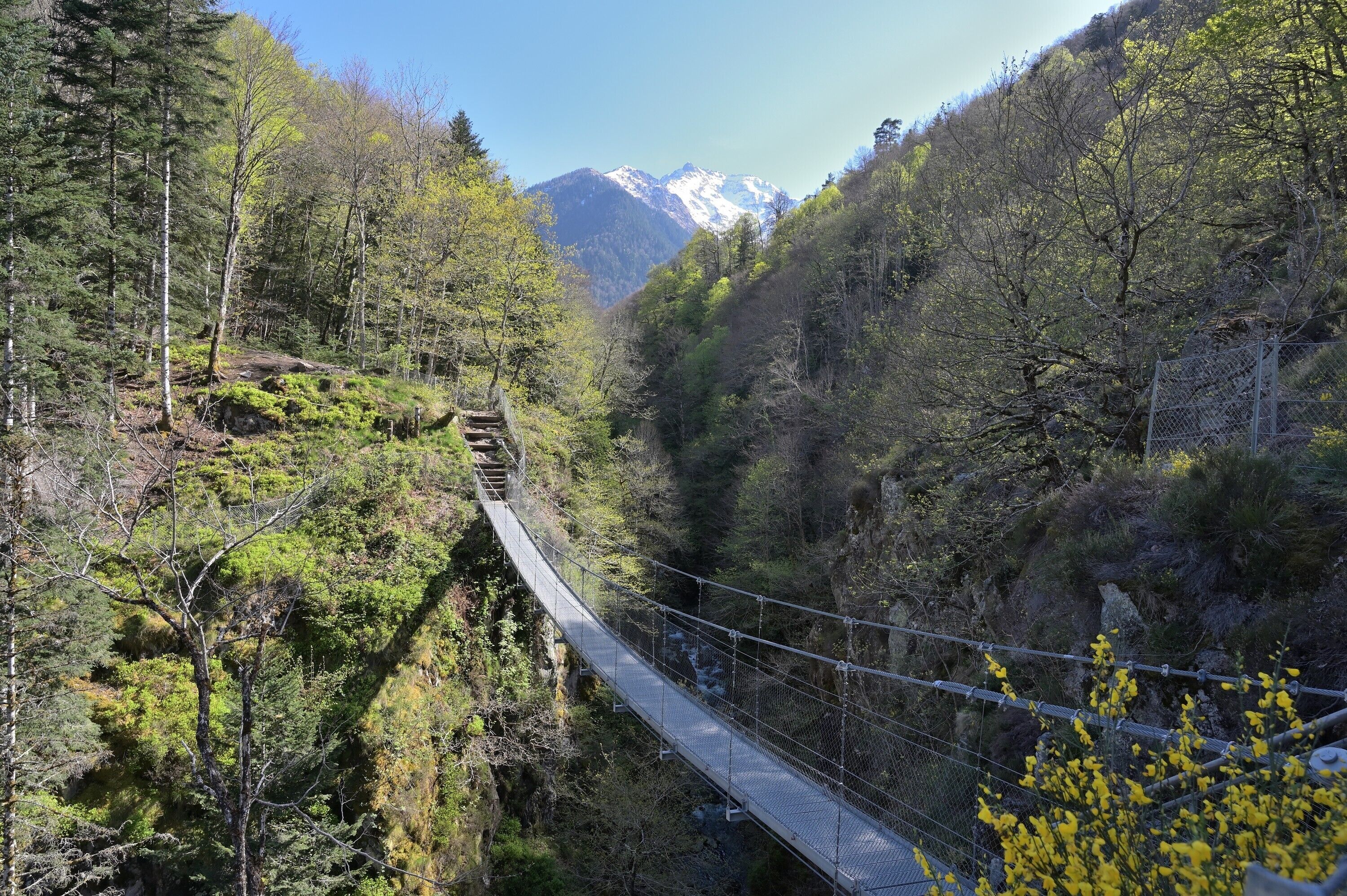 Uma ponte suspensa em um vale arborizado, com montanhas ao fundo.