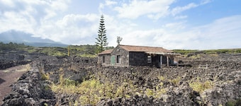 Holiday Home 'Adega Maciel' with Sea View, Private Terrace and Wi-Fi