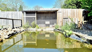 A pond with rocks and plants, surrounded by a wooden fence.