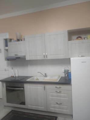 Fridge, microwave, oven, stovetop - Apartment 'Capacity 2 to 5 People' with Mountain View and Balcony (Mont-Dore)