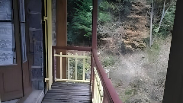 Une terrasse en bois dotée d’une rambarde, qui mène à une zone boisée.