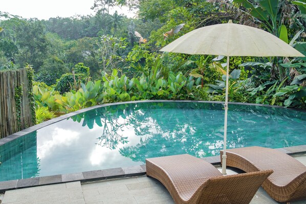Outdoor pool - Jungle Villa – your secluded corner in the jungle of Bali (Bali)