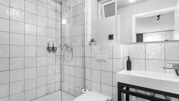 Regadera, secadora de cabello, toallas