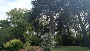 A garden with a variety of trees, a grassy area, and flowering shrubs. - Maison Dans Propriété Arborée, à 800m de la Plage (Plounéour-Brignogan-plages)