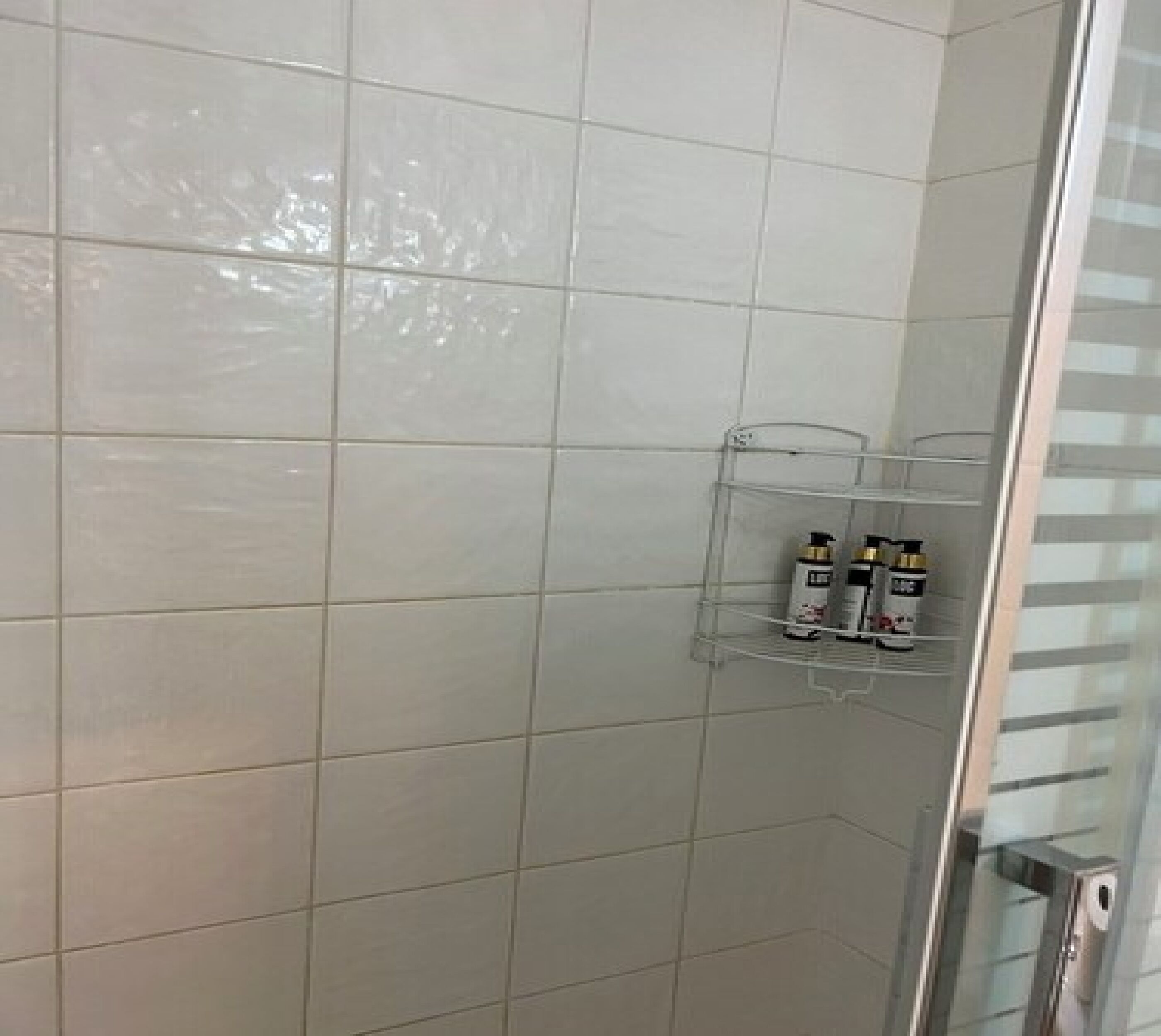 Apartamento | Baño | Ducha y toallas