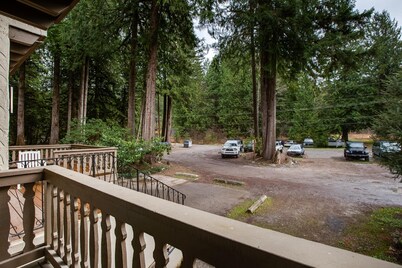 Snowline Lodge - Condo #37 - A Very Cute Condo - Near the Mountain, now has Wifi