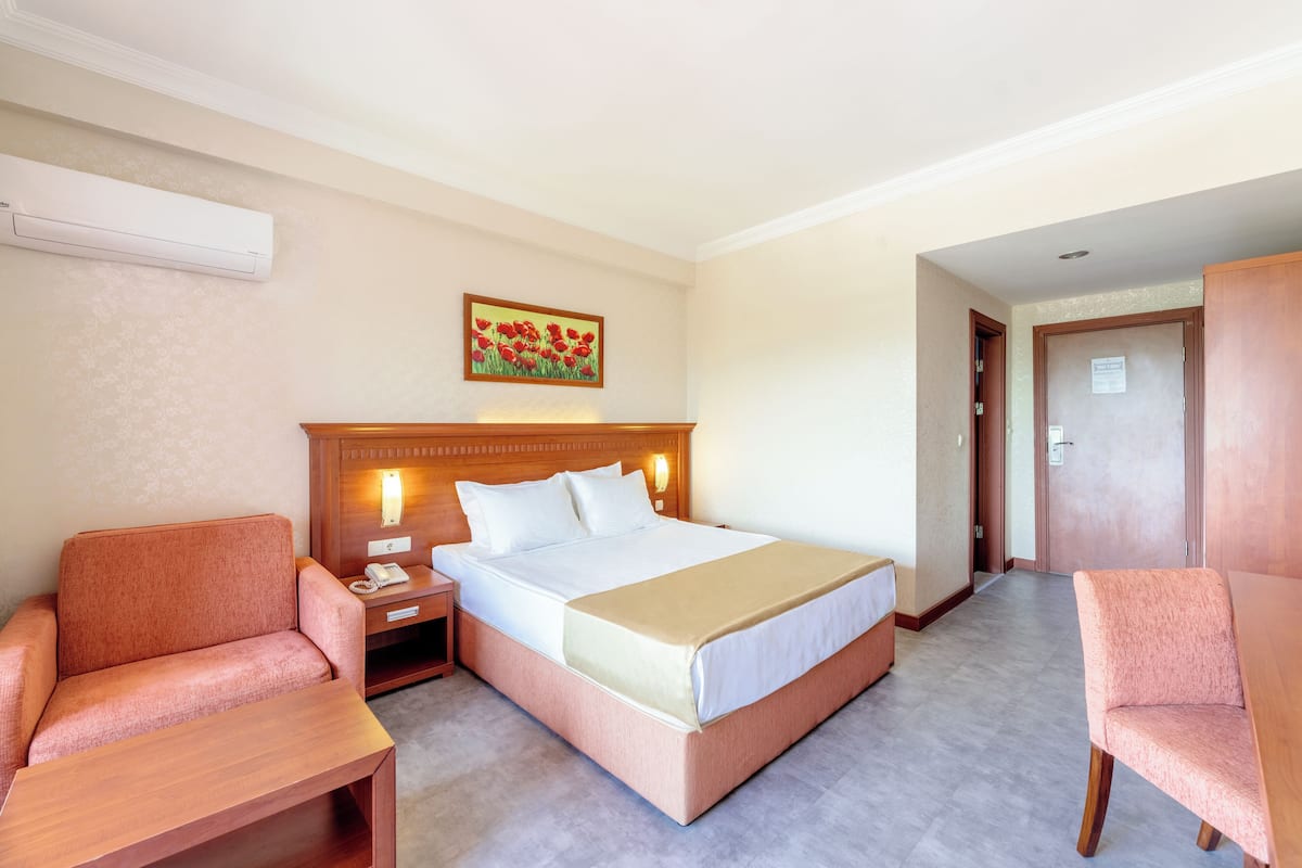 Phòng đôi Tiêu chuẩn, 1 giường cỡ queen | Két bảo mật tại phòng, bàn, khu vực làm việc phù hợp cho laptop