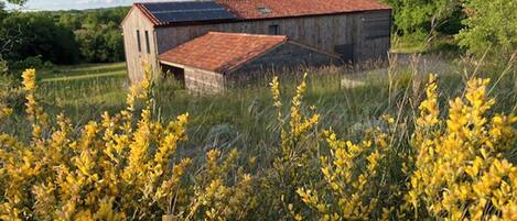 A rustic barn with a red roof and solar panels, surrounded by a field of yellow flowers.