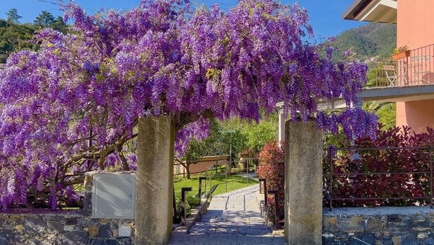 Un arc en pierre orné de fleurs violettes mène à l’entrée d’un bâtiment.