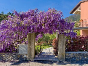 Property grounds - "PALMA" - Apartment on the first floor, with small balcony. (Levanto)